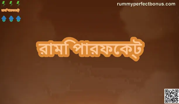 Rummy Perfect review homepage - Indian user safety